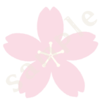 桜の花のイラスト2 カラーsample